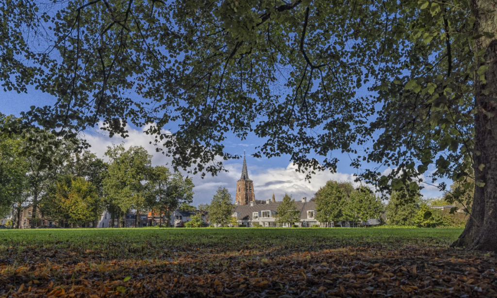 Parkweide met zicht op de kerktoren